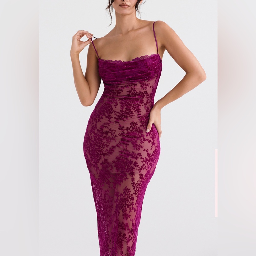 COPY - Ione Floral Devoré Corset Cranberry Lace Dress